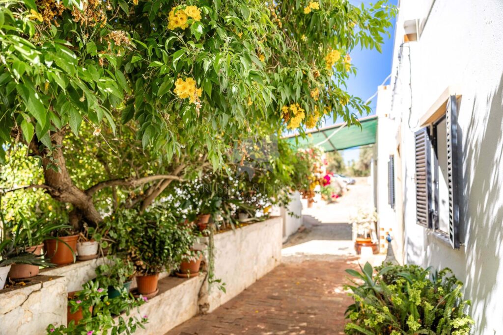 Moncarapacho é a joia escondida do Algarve que não pode deixar de conhecer