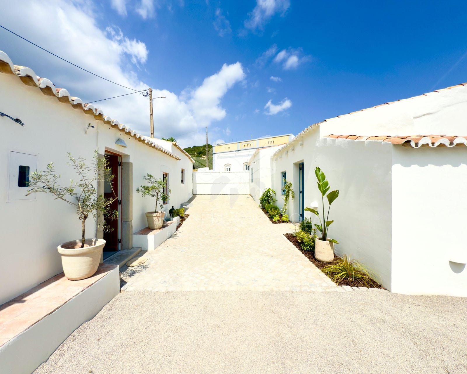 Americans Relocating to Olhao, Fuseta and Moncarapacho in 2026